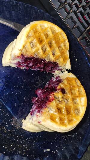 Blue Waffle Porn - Blue Waffle : r/shittyfoodporn