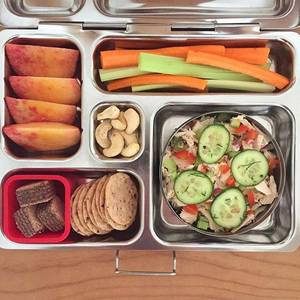 lunch - Tuna salad topped with dill pickles + Nut-thin crackers â€¢ Peach â€¢ Carrots