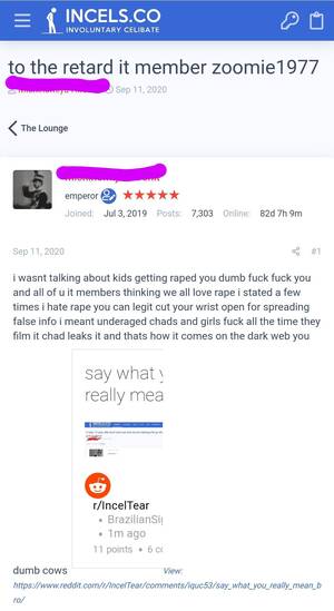 Fuck The Dumb Shit - Incel flat out admits to watching a lot of child porn. Loses his shit when  I call child porn rape. : r/IncelTear