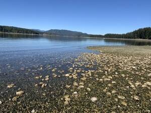 baja beach nudist couples camping - Quadra Island