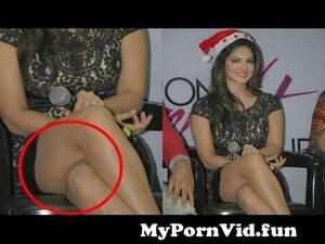 christmas party upskirt - Sunny Leone Upskirt Moment At One Night Stand Christmas Party from sunny  leone upsk Watch Video - MyPornVid.fun