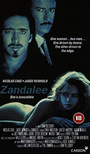 Nicolas Cage Porn Movie - Amazon.com: Zandalee [VHS] : Nicolas Cage, Erika Anderson, Judge Reinhold,  Joe Pantoliano, Viveca Lindfors, Aaron Neville, Steve Buscemi, Ian  Abercrombie, Marisa Tomei, Jo-El Sonnier, Newell Alexander, Blaise  Delacroix, Sam Pillsbury, Coren Eliasson,