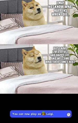 Doge Meme Porn - Various selected Doge memes from the internet : Free Download, Borrow, and  Streaming : Internet Archive