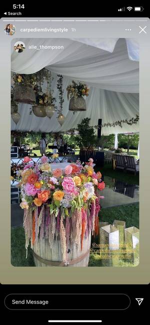 emma mae hd - Ok I hate to say it but I cannot stop looking at stuff for Emma Mae's  wedding (happening as we speak) and her florist posted that they have a  bar??? I am