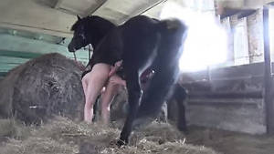 Indian Bestiality Porn - Dirty college slut enjoying horse cock