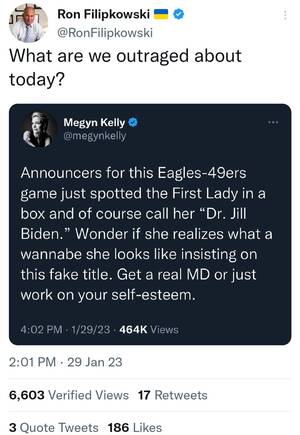 Megyn Kelly Pussy - Haters always gonna be hating. : r/WhitePeopleTwitter