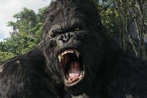 King Kong Ape Porn - 