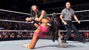 Aj Lee Wrestling Porn - Raw 9/8/14: Natalya & Rosa Mendes vs AJ Lee & Paige | Aj lee, Rosa mendes,  Women's wrestling