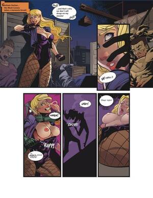 Black Canary Huntress Porn Comics - Black Canary: Ravished Prey (pieexpress) [DC Comics] : r/rule34