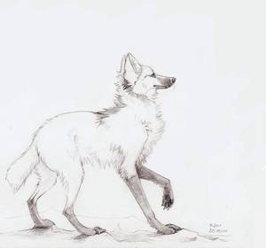 Maned Wolf Furry Porn - Maned wolf by Muflee.deviantart.com on @deviantART