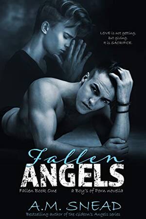 Fallen Porn - Fallen Angels: Fallen Book 1 (a Boys of Porn novella) eBook : Snead, A.M.:  Amazon.co.uk: Kindle Store