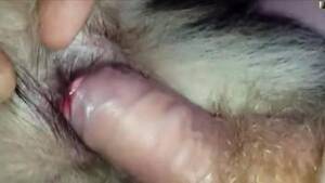 Furry Pussy - Nude furry pussy for this man to fuck and enjoy quality porno