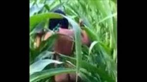 filipina deepthroat - Pinay fucked in the corn field