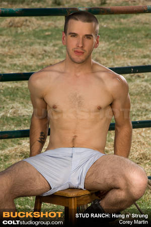 1990s Gay Porn Zach Andrews - Directed by Kristofer Weston, Stud Ranch also features Jeremy Bilding, Zach  Alexander, Dayton O'Connor, Gavin Waters, Tristan Baldwin and Micah Andrews.