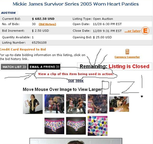 Mickie James Pussy - That time WWE auctioned off Mickie James' worn panties : r/SquaredCircle