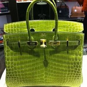 Light Green Crocodile Porn - Love This Lime Green Crocodile Hermes.