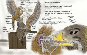 Bird Sex - Statistics