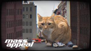 Cute Dj Cats Porn - Run The Jewels - Oh My Darling (Don't Meow) Just Blaze Remix (Official  Video) - YouTube