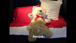 Funny Bear Porn - 