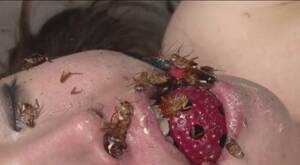 Cockroach Genki Genki Porn - Getn-011 - ThisVid.com