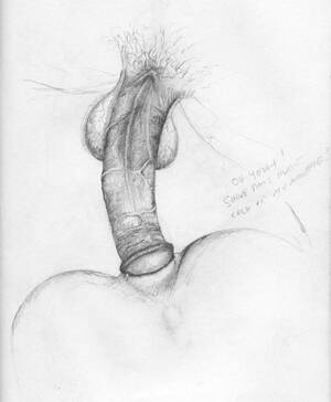 huge shemale penis pencil drawings - Huge Shemale Penis Pencil Drawings | Anal Dream House