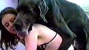 horny sex pets - Zoo Bizarre Sex - Tube videos with animals and people fucks together  without prejudices