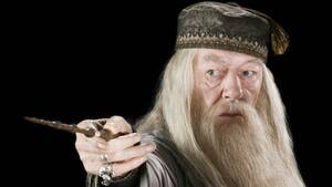 Dumbledore Porn - This Indian actor was offered the role of Albus Dumbledore - Celebrity -  Images