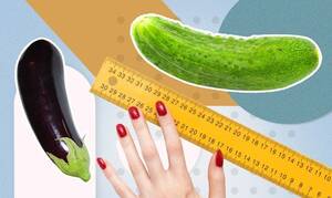 forced anal cucumber - How To Measure Your Penis Size & Girth The RIGHT Way