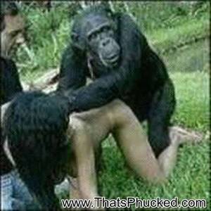 Ape Bangs Girl Porn - Apes Fucking Girls - Bobs and Vagene