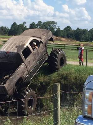 Mud Bog Tits - Find ...