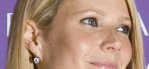Gwyneth Paltrow Facial Porn - 