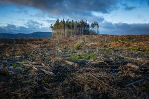 amateur teen girl fingering - Deadliest Impacts of Ecosystem variation on Marginalized Communities -