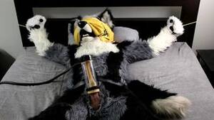 Gay Fursuit Porn - fursuit Porn â€“ Gay Male Tube