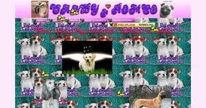 geocities nudist - Dream of the '90s is alive with Websites From Hell