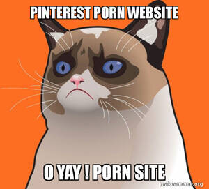 Grumpy Porn - PINTEREST PORN WEBSITE O YAY ! PORN SITE - Cartoon Grumpy Cat Meme Generator