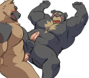 Furry Bear Porn - Artist, Searching, Gay, Muscle, Bears, Search, Muscles, Artists