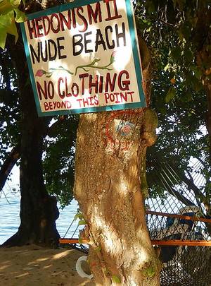 hedonism swinger nudist resorts - 