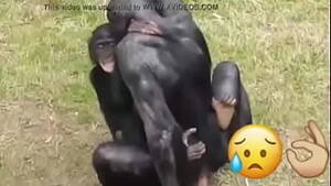 Monkey Lesbian Porn - monkey videos - XVIDEOS.COM