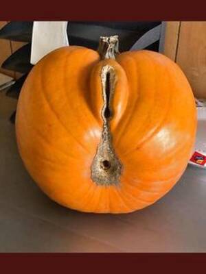 Halloween Porn Meme - Halloween Foto Porno - AmaPorn