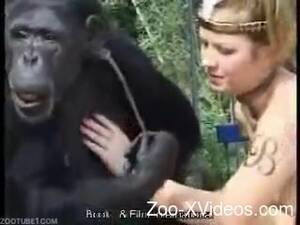 Girl Lets Monkey Fuck Her - Monkey licks a pussy of a dirty-minded zoophile