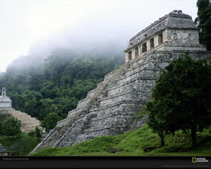 Ancient Mayan Porn - The ancient Maya ruins of Palenque sits long abandoned in the mist-shrouded  jungles of