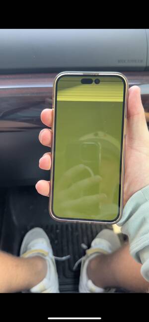 Nowhere Porn Iphone - Woke up and IPhone 14 pro max Screen just flashes green (factory reset  doesn't work) : r/iphone