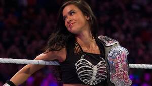 Aj Lee Wrestling Porn - Wrestling Wrap Up: AJ Lee Retires from the Ring