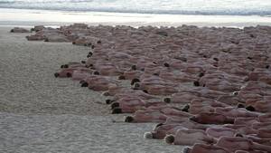 australian topless beach babes - Australia: Thousands pose nude for Spencer Tunick's cancer photo shoot on  Sydney's Bondi Beach | Euronews