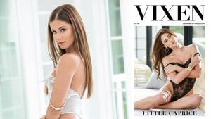 Angel Vixen Porn - Little Caprice Was Named Newest Vixen Angel - Venus Adult News