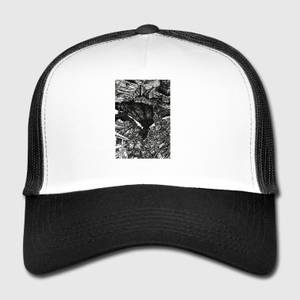 Black Hat - Architectural Porn - Trucker Cap