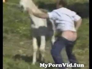 Donkey Fucker Porn - Donkey tries to fuck an old man from donky fucks woman sex videos Watch  Video - MyPornVid.fun