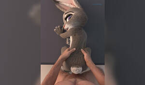 Guy Fucks Rabbit Fingers - A man put cancer and fucked a fluffy bunny Judy Hops