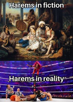 Muslim Harem Porn - Harems were scary places : r/HistoryMemes