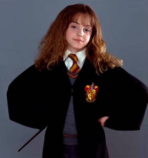 Hermione Brave Porn - Hermione Granger